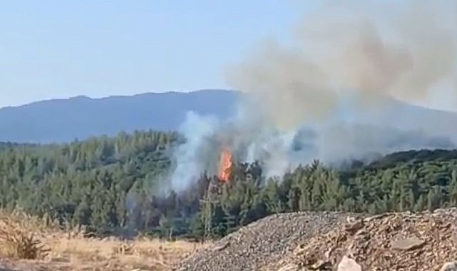 Tavas'taki orman yangını kontrol altına alındı