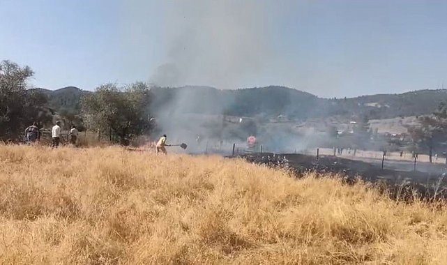 Tavşanlı Balıköy'de çıkan yangın büyümeden söndürüldü
