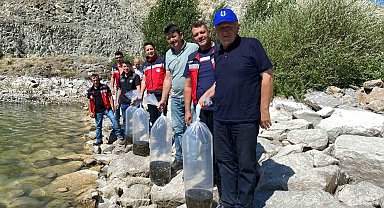 Tavşanlı'da 8 gölete binlerce yavru sazan bırakıldı