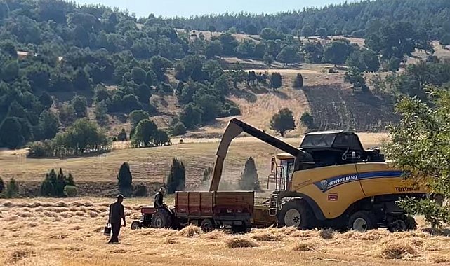 Tavşanlı'da çiftçiler emeklerinin karşılığını almanın heyecanını yaşıyor