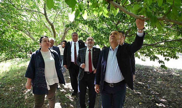 TBMM Zirai Don Araştırma Komisyonu Çivril'de meyve bahçelerini inceledi