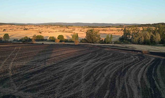 Tekirdağ'da 2 bin 500 dönüm ekili alan ve 200 adet arı kovanı yandı