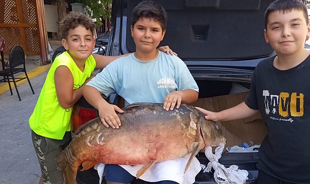 Tekirdağ'da amatör balıkçı 38 kiloluk sazan yakaladı