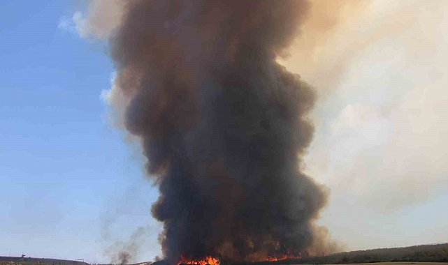 Tekirdağ'da başlayarak Çanakkale'ye ulaşan yangın yeniden alevlendi