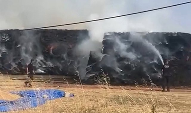 Tekirdağ'da bin 500 saman balyası kül oldu