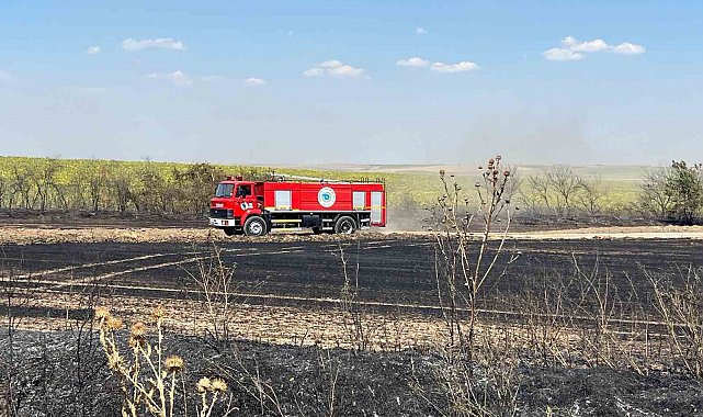 Tekirdağ'da çıkan tarla yangını söndürüldü