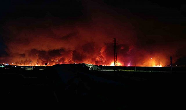 Tekirdağ'da orman yangını geceyi gündüze çevirdi