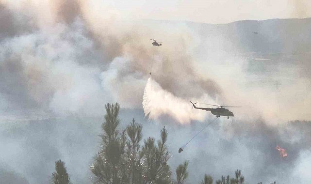 Tekirdağ'da orman yangınına havadan ve karadan müdahale sürüyor