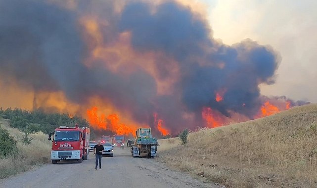 Tekirdağ'daki orman yangını kontrol altına alındı