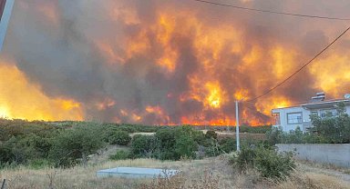 Tekirdağ'daki orman yangını yerleşim alanlarını tehdit ediyor