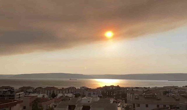Tekirdağ'daki orman yangınının dumanı Çanakkale Boğazı'nı kapladı