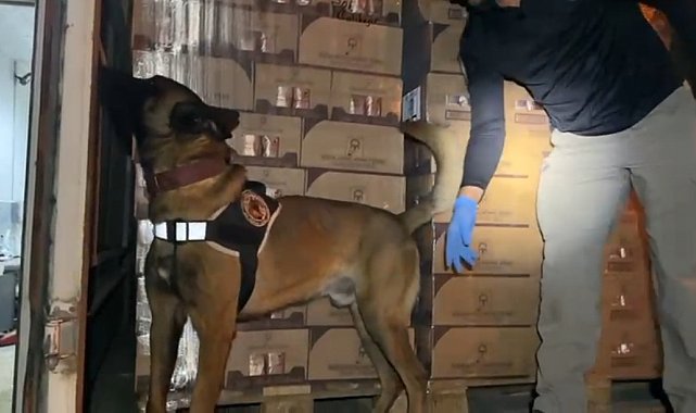 TEM'de durdurulan araçtan 9 kilo kokain ele geçirildi