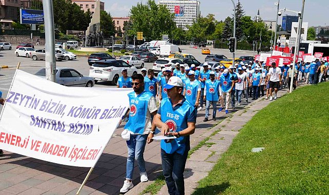 TES-İŞ ve Milaslı muhtarlardan Maden Yasası'na destek