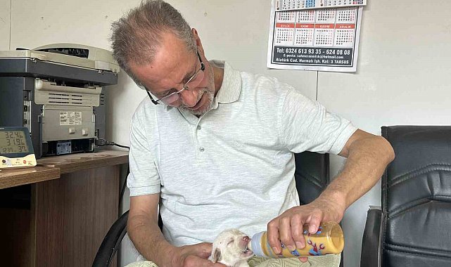 Tescilli ırk olan Çatalburun köpeği bir batında 13 yavru dünyaya getirdi