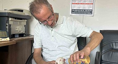 Tescilli ırk olan Çatalburun köpeği bir batında 13 yavru dünyaya getirdi