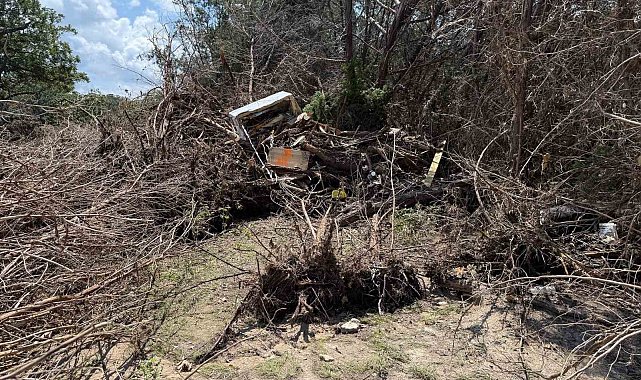 Texas'taki sel felaketinde can kaybı 131'e yükseldi