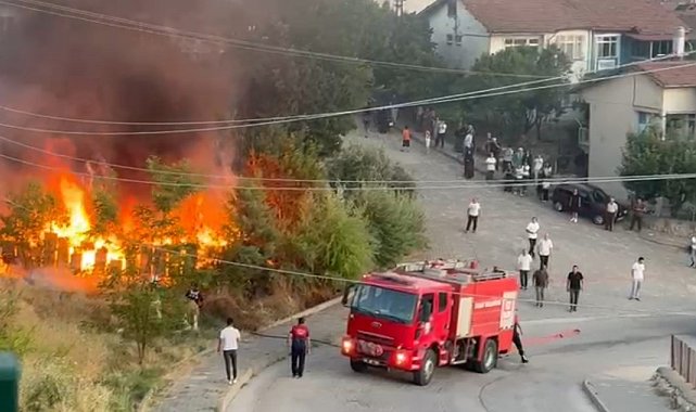 Tokat'ta arı kovanları küle döndü