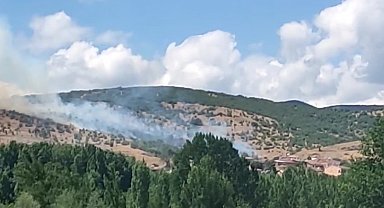Tokat'taki yangında alevler yerleşim alanına ulaşmadan söndürüldü