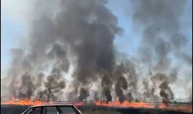 Traktörün kepçesinin elektrik tellerine temas etmesi ile çıkan yangında 50 dönüm arazi yandı