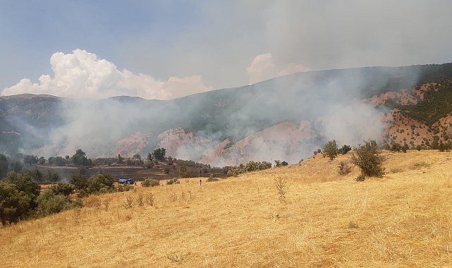 Tunceli'de çıkan yangın büyük ölçüde söndürüldü