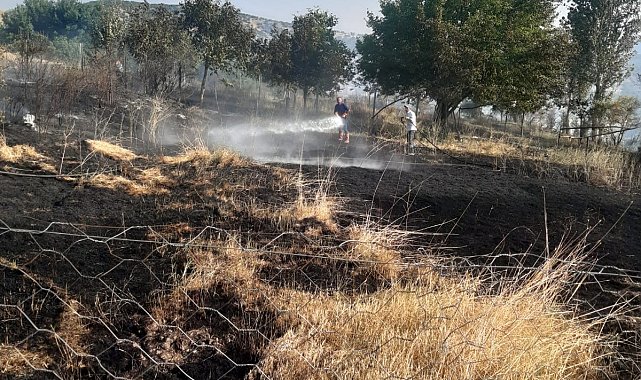 Tunceli'de otluk alanda çıkan yangın ekiplerin müdahalesiyle söndürüldü