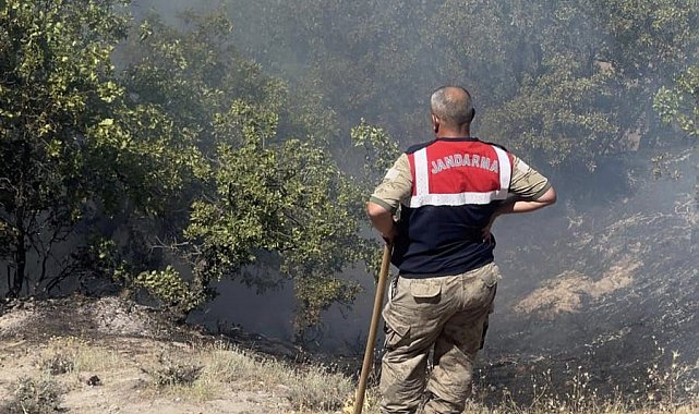 Tunceli'de otluk ve ormanlık alanda yangın