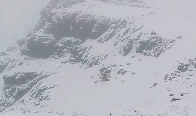 Tuncelili yaylacılar Erzurum'da kara yakalandı