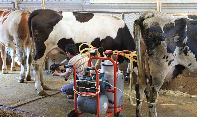 TÜSEDAD'dan çiğ sütte maliyet konusunda iş birliği çağrısı