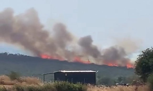Uluabat Gölü'nden defalarca sorti yaptılar...Bursa'da iki ayrı noktada orman yangını