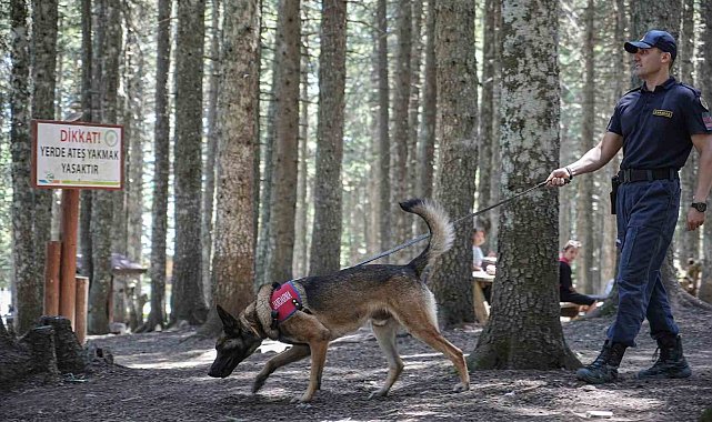 Uludağ'ın ormanlarında jandarmadan 24 saat motorize devriye