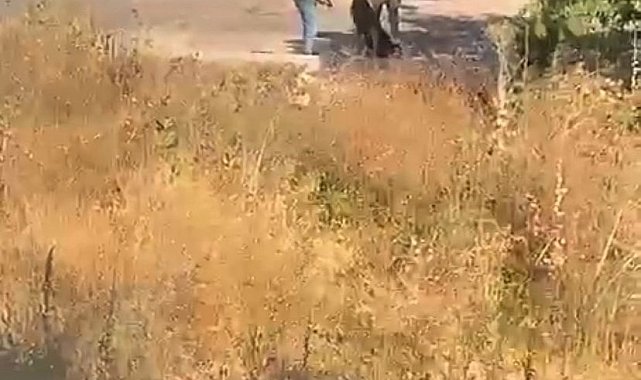 Ümraniye'de eski sevgilisinin başına silah dayayıp darp etti