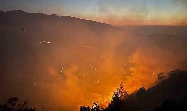 Uşak'ta 21 ev ve 1 çiftlik boşaltıldı