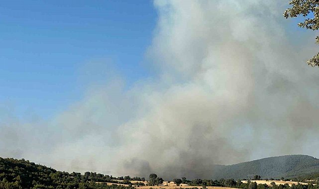 Uşak'ta iki ayrı noktada yangın