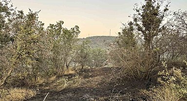 Uşak'ta meşelik alana sıçrayan yangın kontrol altına alındı
