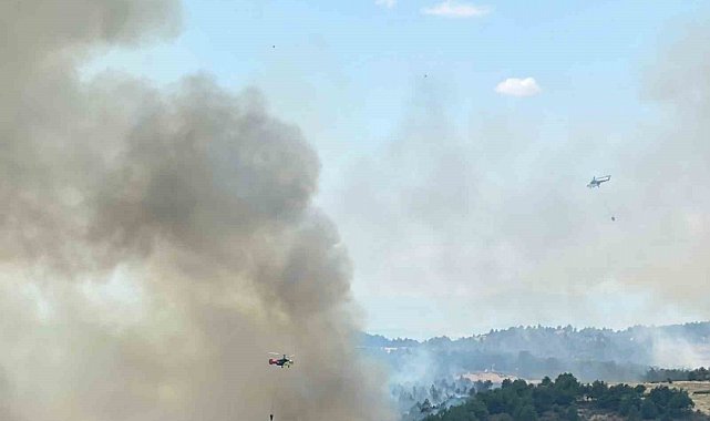 Uşak'ta ormanlık alanda çıkan yangına müdahale devam ediyor