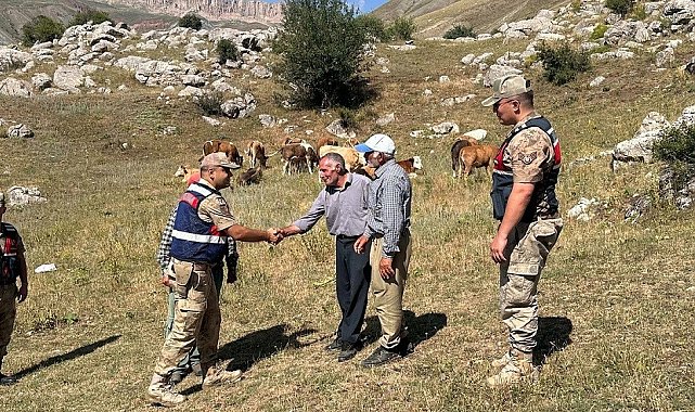 Üzümlü'de 4 gündür kayıp 17 büyükbaş hayvanı jandarma buldu