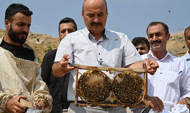 Vali Canalp, Cobet Yaylası'nda ilk bal sağımına katıldı