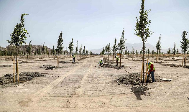 Van Büyükşehir Belediyesi Ihlamur Parkı'yla kente renk katacak