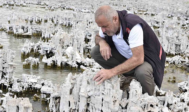 Van Gölü'nde şu ana kadarki en büyük mikrobiyalit görüntülendi