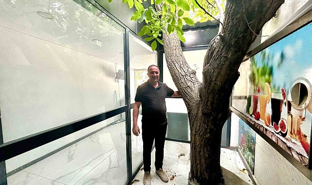 Van'da asırlık ceviz ağacı iş yerinin ortasında yaşatılıyor