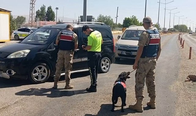 Van'da farklı suçlardan aranan 20 kişi tutuklandı