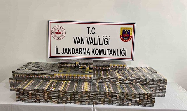 Van'da gümrük kaçakçılığı operasyonu