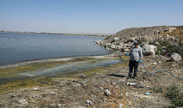 Van'da kent zararlılarına karşı ilaçlama çalışması