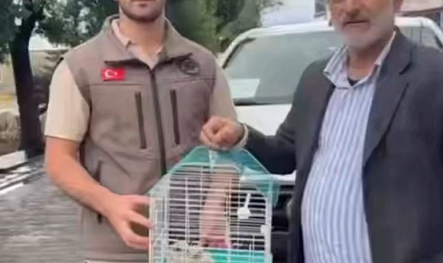 Vatandaşlar ve askerlerin bulduğu 3 kerkenez yavrusu doğaya salındı