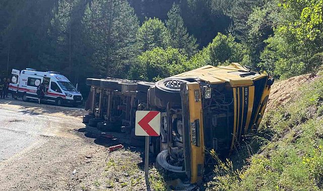 Virajı alamayan talaş yüklü tır devrildi: 2 yaralı