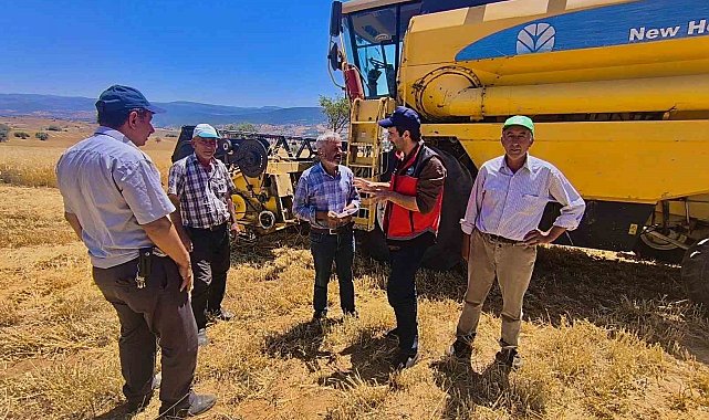 Yalıhüyük'te tarım ekiplerinin incelemeleri sürüyor