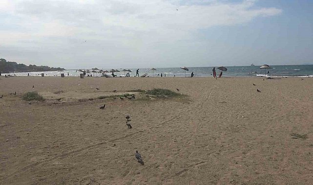 Yalova'da denizde boğulma tehlikesi geçiren çocuğu vatandaşlar kurtardı