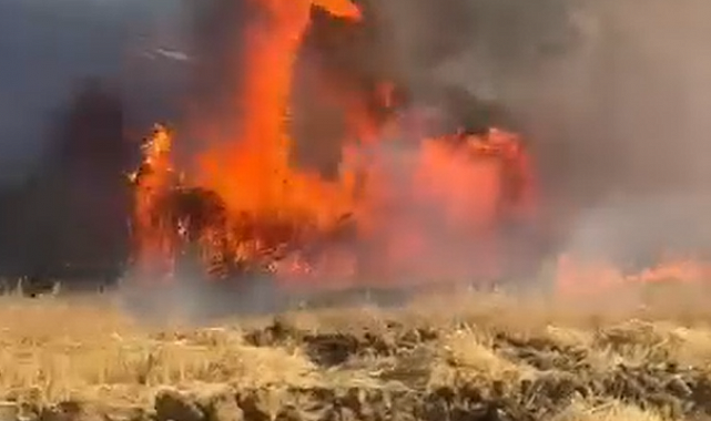 Yalova'da tarlada çıkan yangında yüzlerce saman balyası kül oldu