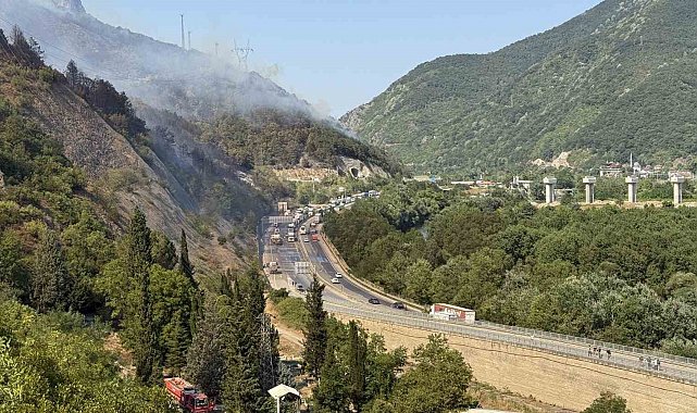 Yanan orman helikopter içinden görüntülendi