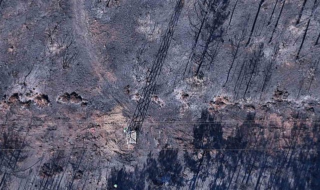 Yangın bölgesinde enerji hatlarının onarımı başladı